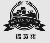 福苋猪;FUXIAN GROUP