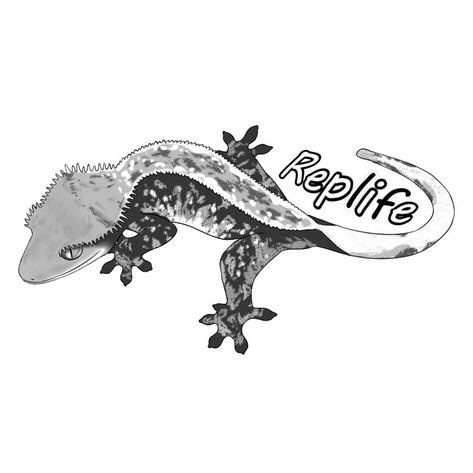 REPLIFE;REPLIFE