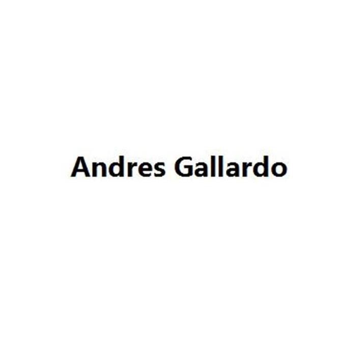 ANDRES GALLARDO;ANDRES GALLARDO