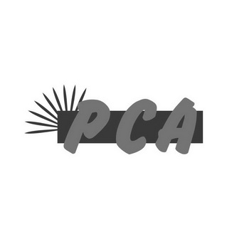 PCA;PCA