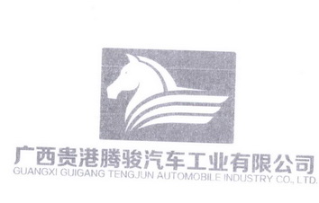 广西贵港腾骏汽车工业有限公司;GUANGXI GUIGANG TENGJUN AUTOMOBILE INDUSTRY COLTD