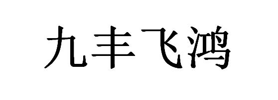 九丰飞鸿