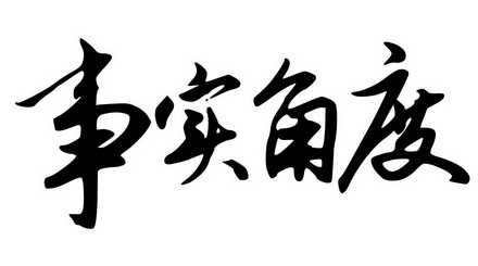 事实角度