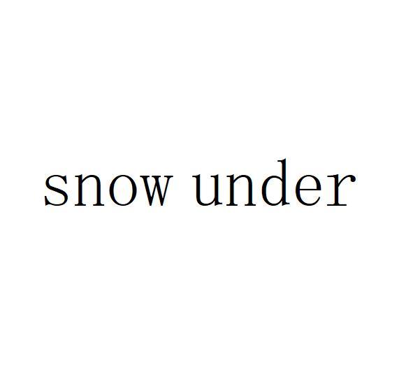 SNOW UNDER;SNOW UNDER