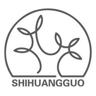 SHIHUANGGUO;SHIHUANGGUO