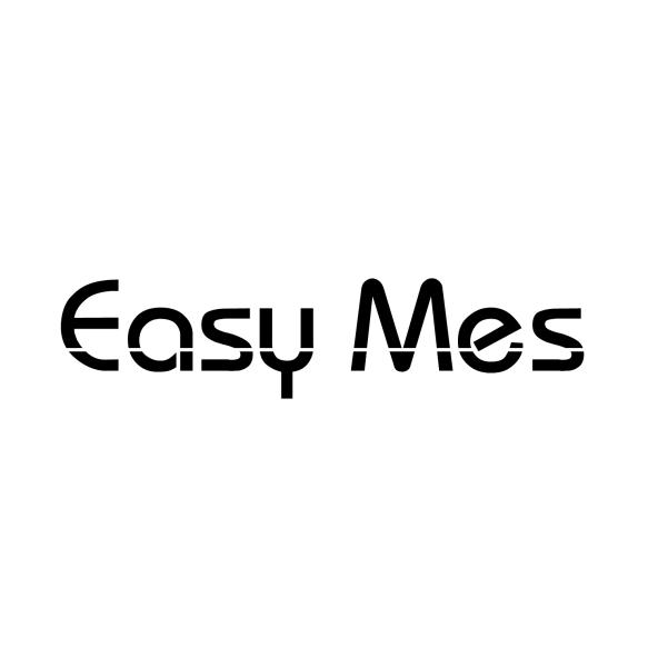 EASY MES;EASY MES