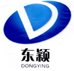 东颖  D;DONGYING;D