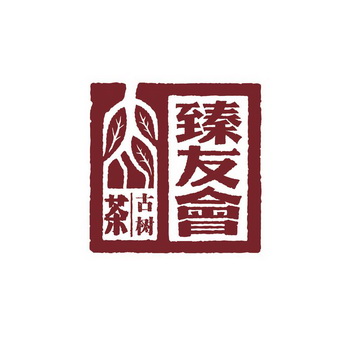 臻友会 古树茶