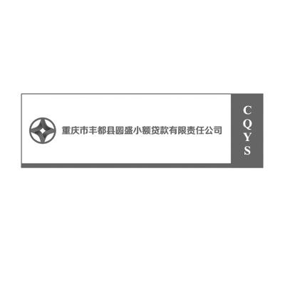 重庆市丰都县圆盛小额贷款有限责任公司 CQYS;CQYS