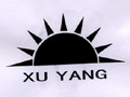 XU YANG;XU YANG