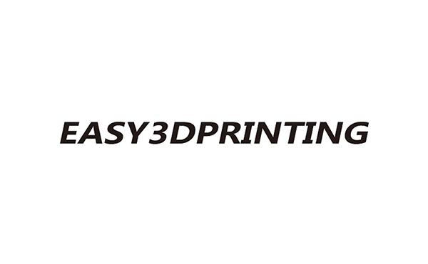 EASY 3 DPRINTING;EASY 3 DPRINTING