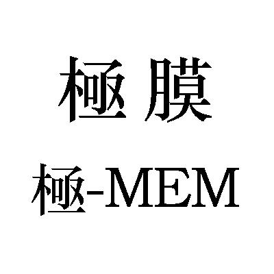 极膜极;MEM