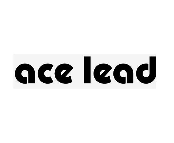 ACE LEAD;ACE LEAD