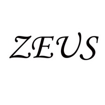 ZEUS;ZEUS