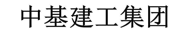 中基建工集团