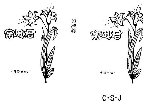 常思君;CSJ