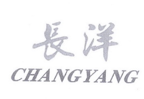 长洋;CHANGYANG