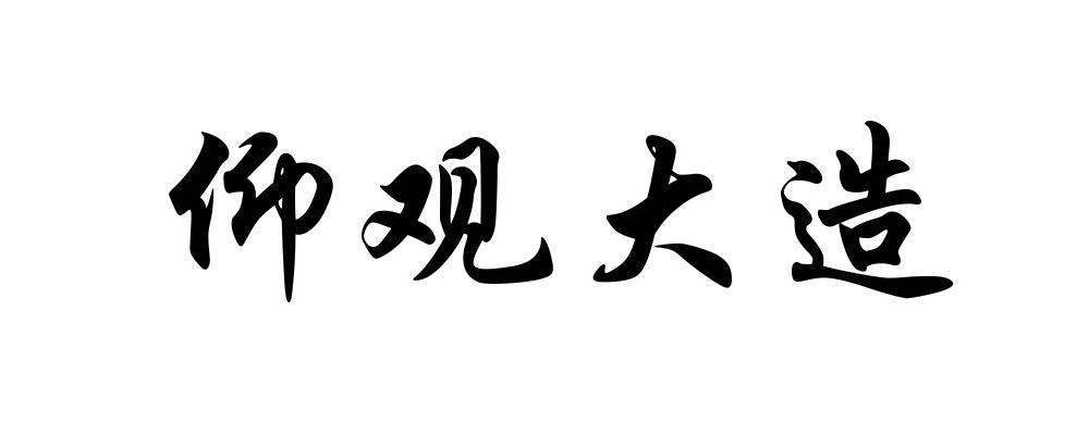 仰观大造