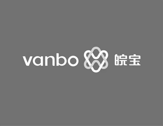 皖宝;VANBO