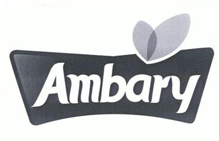 AMBARY;AMBARY