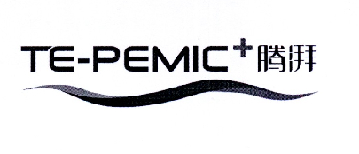 TE-PEMIC+腾湃;TEPEMIC