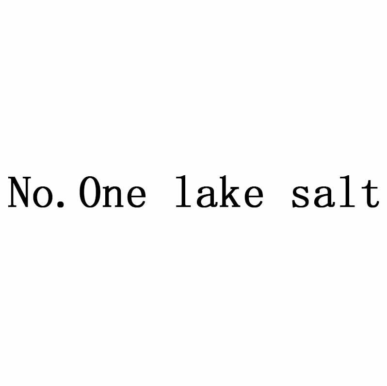 ;NO ONE LAKE SALT