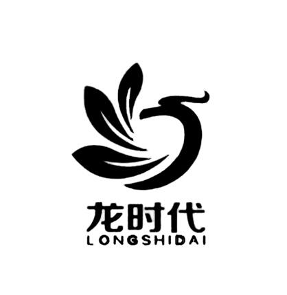 龙时代;LONGSHIDAI