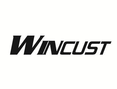 ;WINCUST