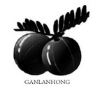 GANLANHONG;GANLANHONG