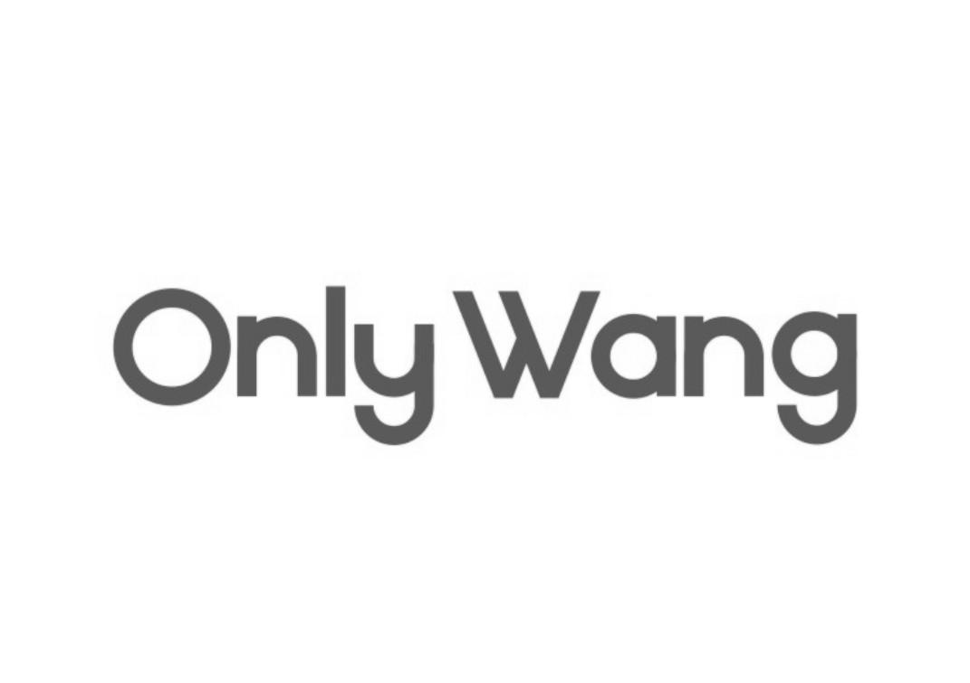 ONLY WANG;ONLY WANG