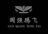 国强腾飞;GUOQIANGTENGFEI