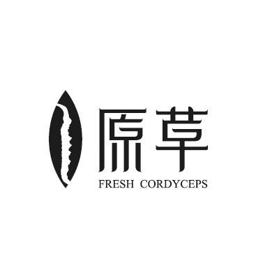 原草 FRESH CORDYCEPS;FRESH CORDYCEPS