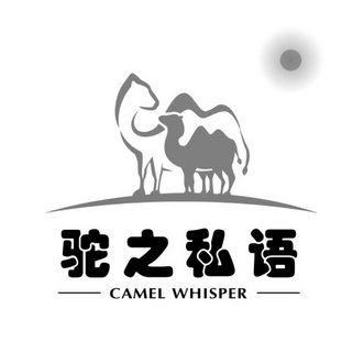 驼之私语 CAMEL WHISPER;CAMEL WHISPER