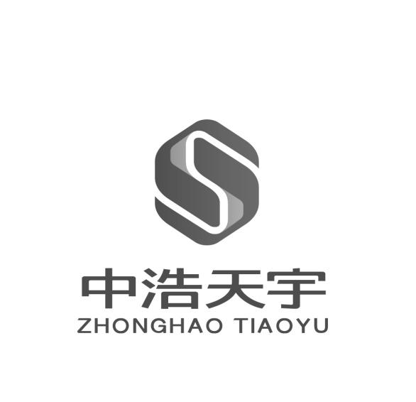 中浩天宇;ZHONGHAO TIAOYU