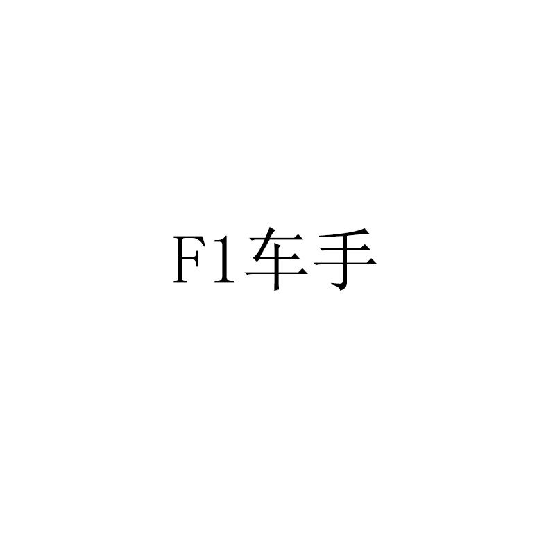 车手;F1