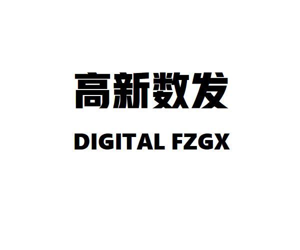 高新数发 DIGITAL FZGX;DIGITAL FZGX