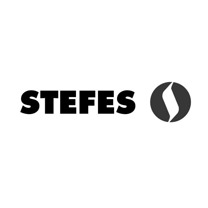 STEFES;STEFES