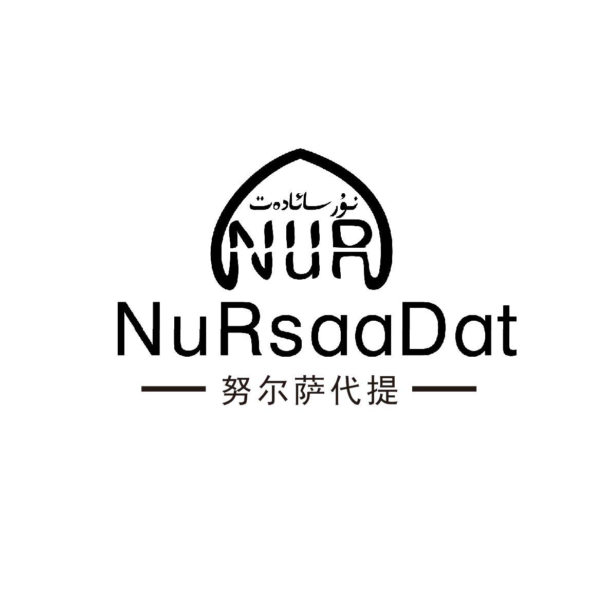 努尔萨代提 NURSAADAT NUR;NURSAADAT NUR