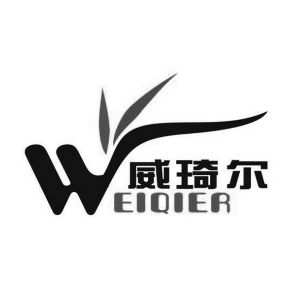 威琦尔 EIQIER;EIQIER