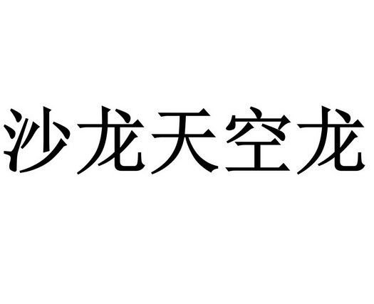 沙龙天空龙