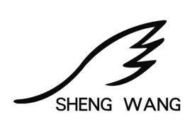 SHENG WANG;SHENGWANG