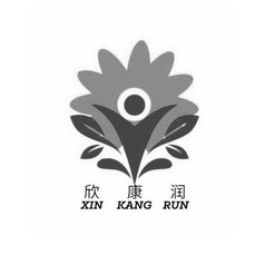 欣康润;XINKANGRUN