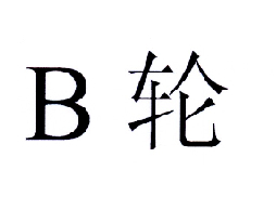 B 轮;B