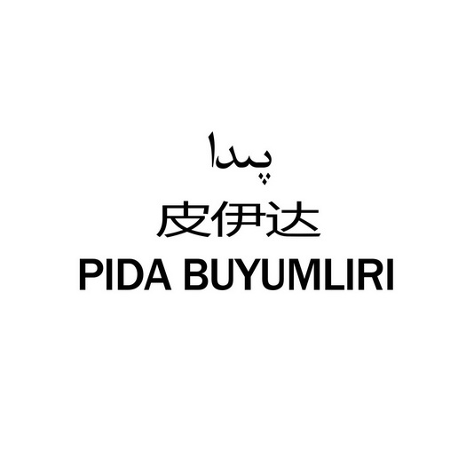 皮伊达;PIDA BUYUMLIRI