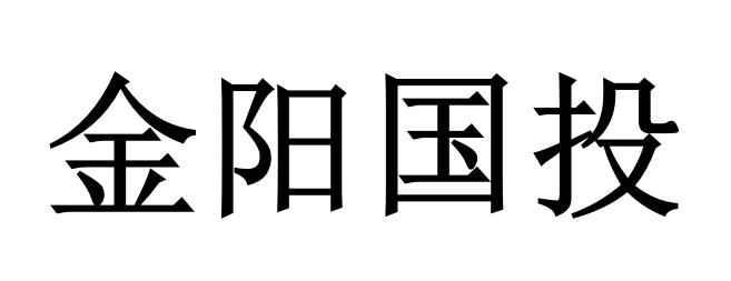 金阳国投