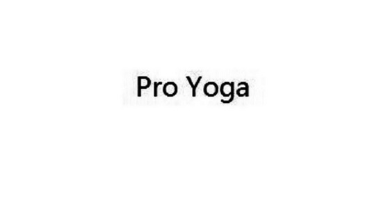 PRO YOGA;PRO YOGA