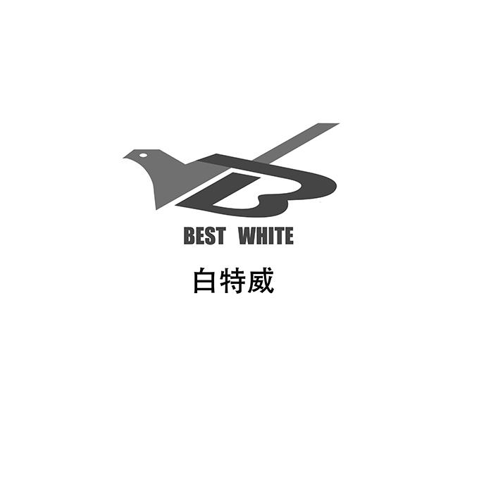 白特威 BEST WHITE;BEST WHITE