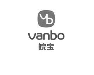 皖宝;VANBO