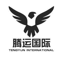 腾运国际;TENGYUNINTERNATIONAL