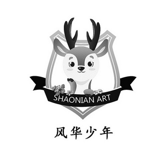 风华少年;SHAONIAN ART